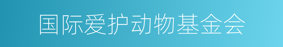 国际爱护动物基金会的同义词