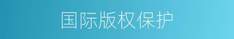国际版权保护的同义词