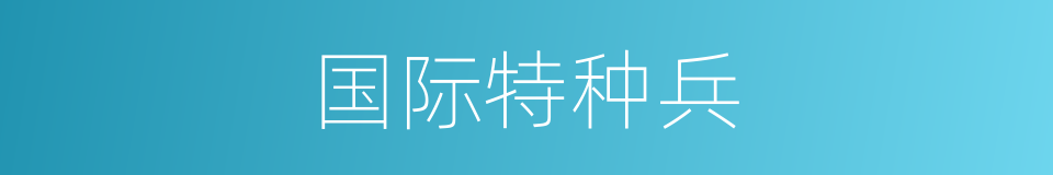 国际特种兵的同义词