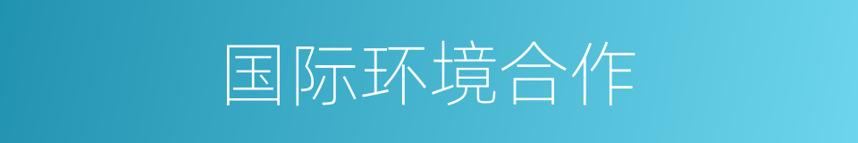 国际环境合作的同义词