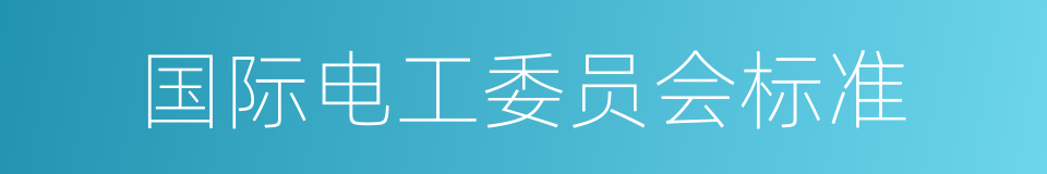 国际电工委员会标准的同义词