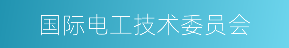 国际电工技术委员会的同义词