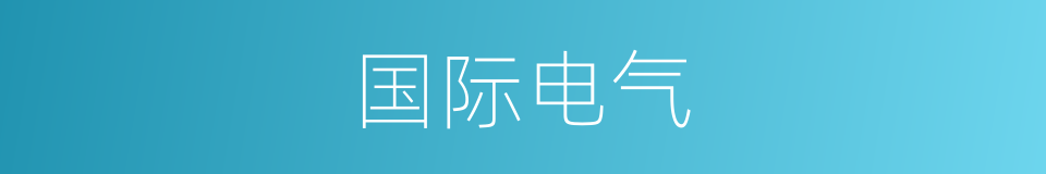 国际电气的同义词