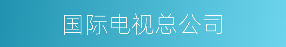 国际电视总公司的同义词