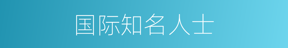 国际知名人士的同义词
