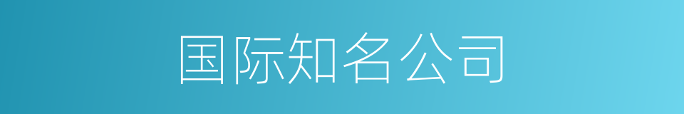 国际知名公司的同义词