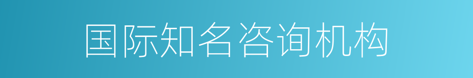 国际知名咨询机构的同义词