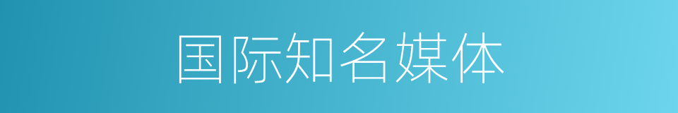 国际知名媒体的同义词