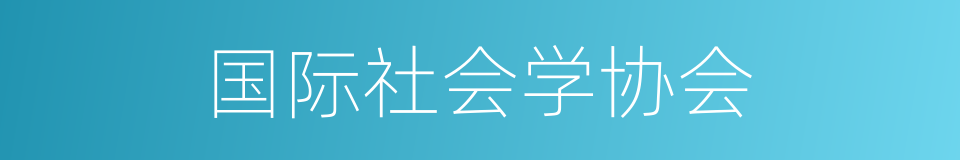 国际社会学协会的同义词