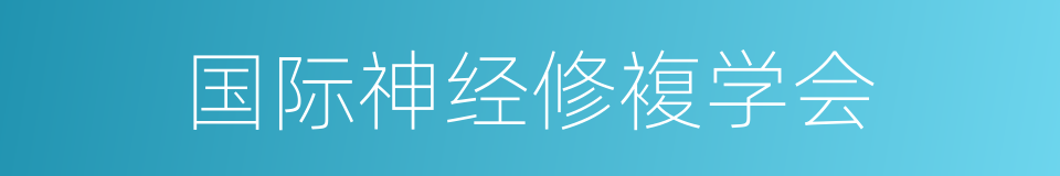 国际神经修複学会的同义词