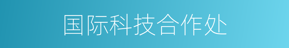 国际科技合作处的同义词