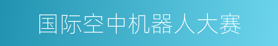 国际空中机器人大赛的同义词