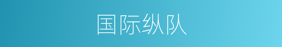 国际纵队的意思