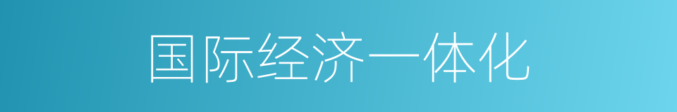 国际经济一体化的同义词