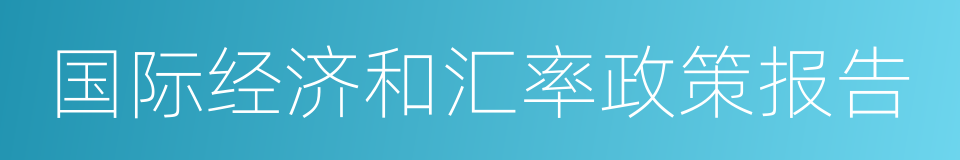 国际经济和汇率政策报告的同义词