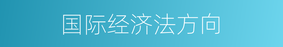 国际经济法方向的同义词