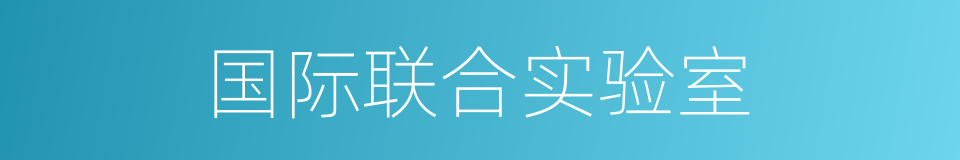 国际联合实验室的同义词