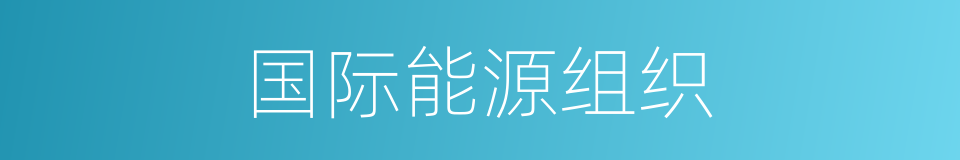 国际能源组织的同义词