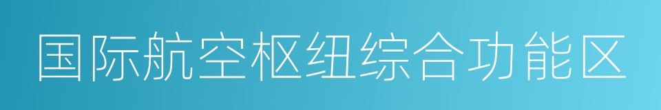 国际航空枢纽综合功能区的同义词