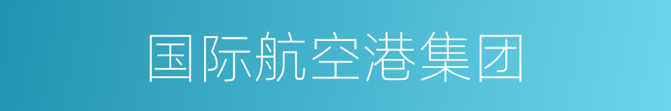 国际航空港集团的同义词