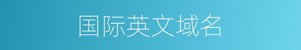 国际英文域名的同义词