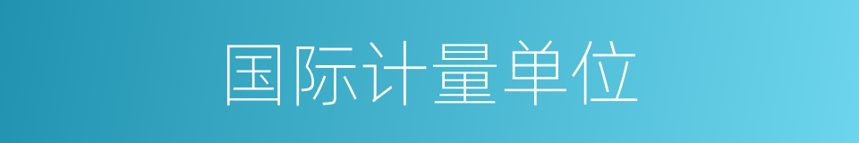 国际计量单位的同义词