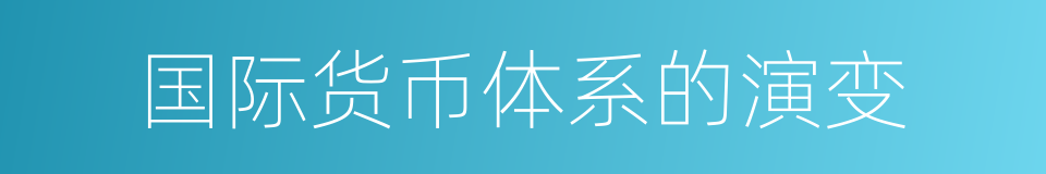 国际货币体系的演变的同义词