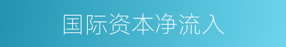 国际资本净流入的同义词