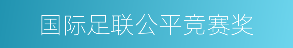 国际足联公平竞赛奖的同义词