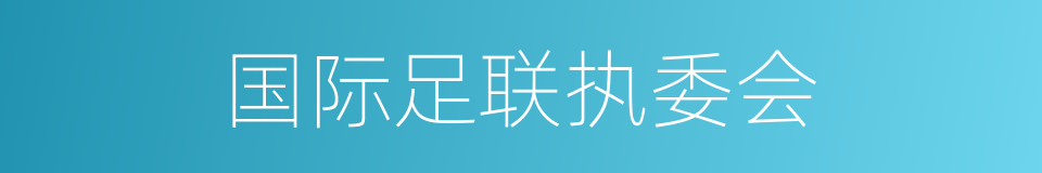 国际足联执委会的同义词