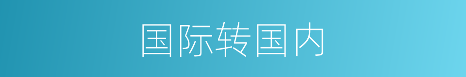 国际转国内的同义词