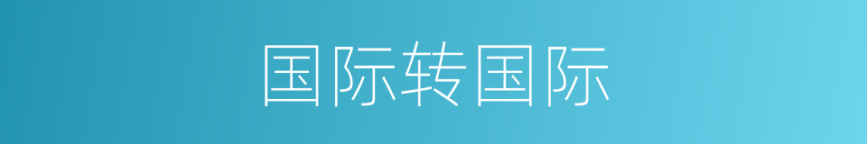 国际转国际的同义词