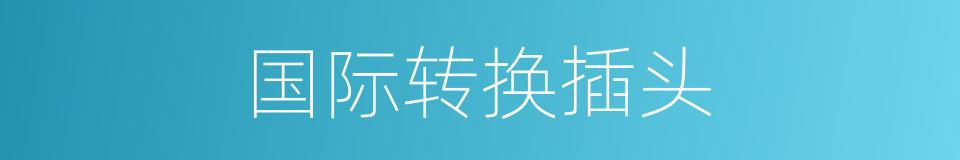 国际转换插头的同义词