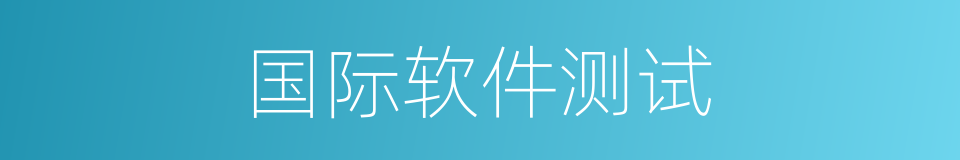 国际软件测试的同义词
