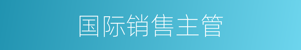 国际销售主管的同义词
