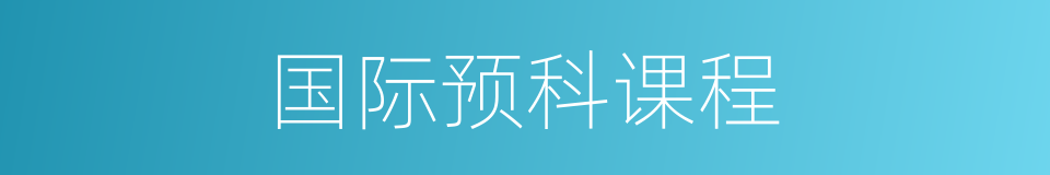 国际预科课程的同义词