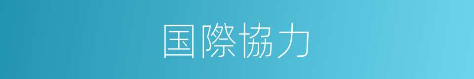 国際協力的同義詞