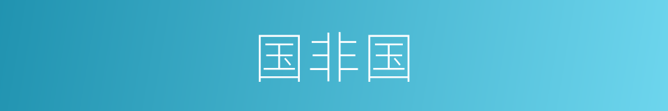 国非国的同义词