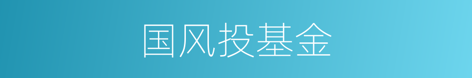 国风投基金的同义词