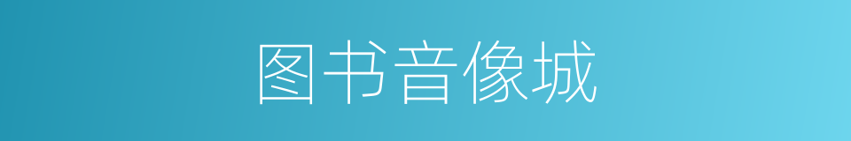 图书音像城的同义词