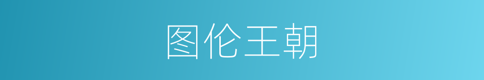 图伦王朝的同义词