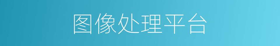 图像处理平台的同义词