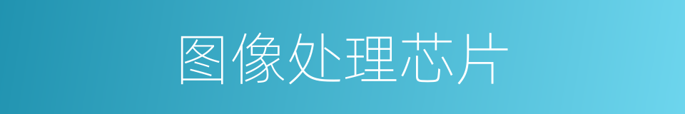 图像处理芯片的同义词