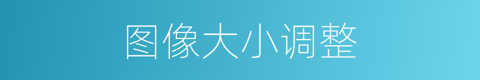 图像大小调整的同义词