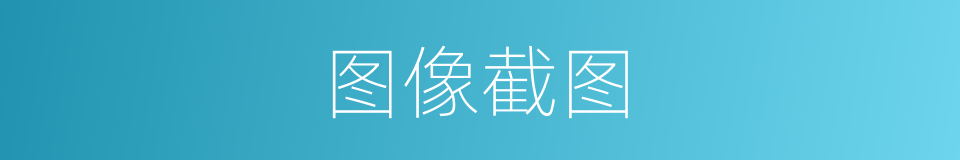 图像截图的同义词