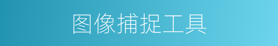 图像捕捉工具的同义词