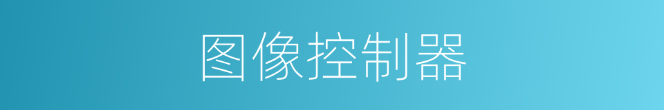 图像控制器的同义词