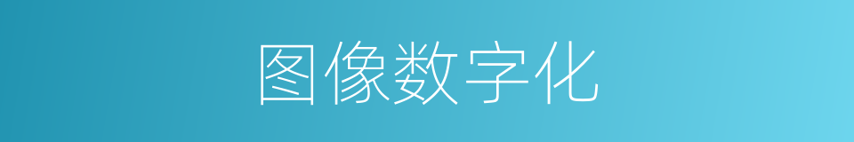 图像数字化的同义词