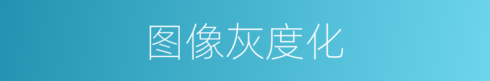 图像灰度化的同义词