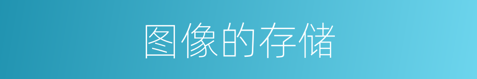 图像的存储的同义词
